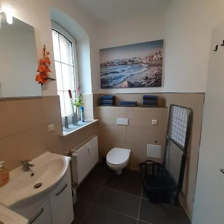 Spacious For Traveler And Fitter