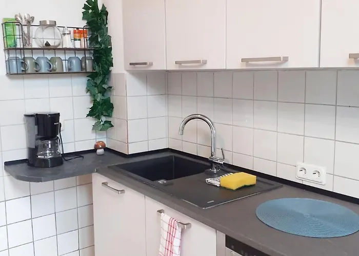 Spacious For Traveler And Fitter Lollar