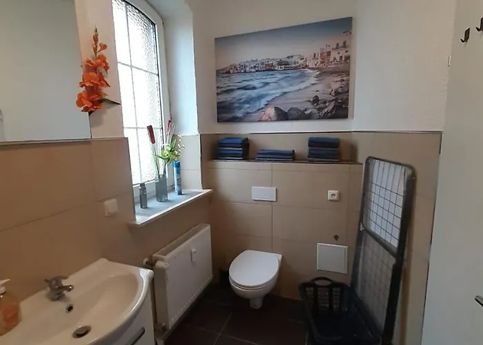 Spacious For Traveler And Fitter