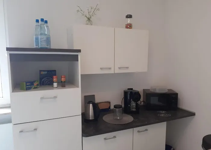 Spacious For Traveler And Fitter Lollar